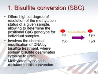 1. Bisulfite conversion (SBC) Offers highest  degree of resolution of the methylation status of a given sample, allowing to determine the positional CpG genotype for individual samples. Involves the chemical modification of DNA by bisulfite treatment, where sodium bisulfite deaminates cytosine to uracil. Methylated cytosine is resistant to this conversion. 