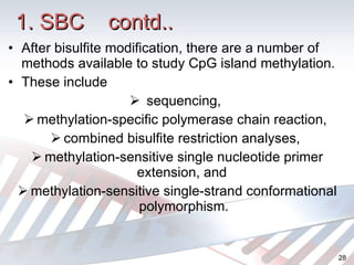 After bisulfite modification, there are a number of methods available to study CpG island methylation. These include sequencing,  methylation-specific polymerase chain reaction,  combined bisulfite restriction analyses,  methylation-sensitive single nucleotide primer extension, and  methylation-sensitive single-strand conformational polymorphism. 1. SBC  contd.. 