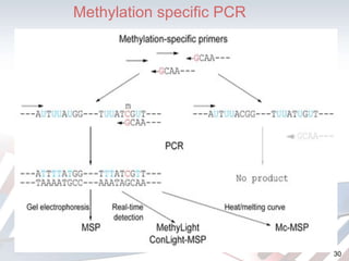 Methylation specific PCR 