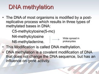 DNA methylation The DNA of most organisms is modified by a post-replicative process which results in three types of methylated bases in DNA: C5-methylcytosine(5-mc) N4-methylcytosine  N6-methyladenine.   This Modification is called DNA methylation. DNA methylation is a covalent modification of DNA that does not change the DNA sequence, but has an influence on gene activity. Wide spread in prokaryotes 