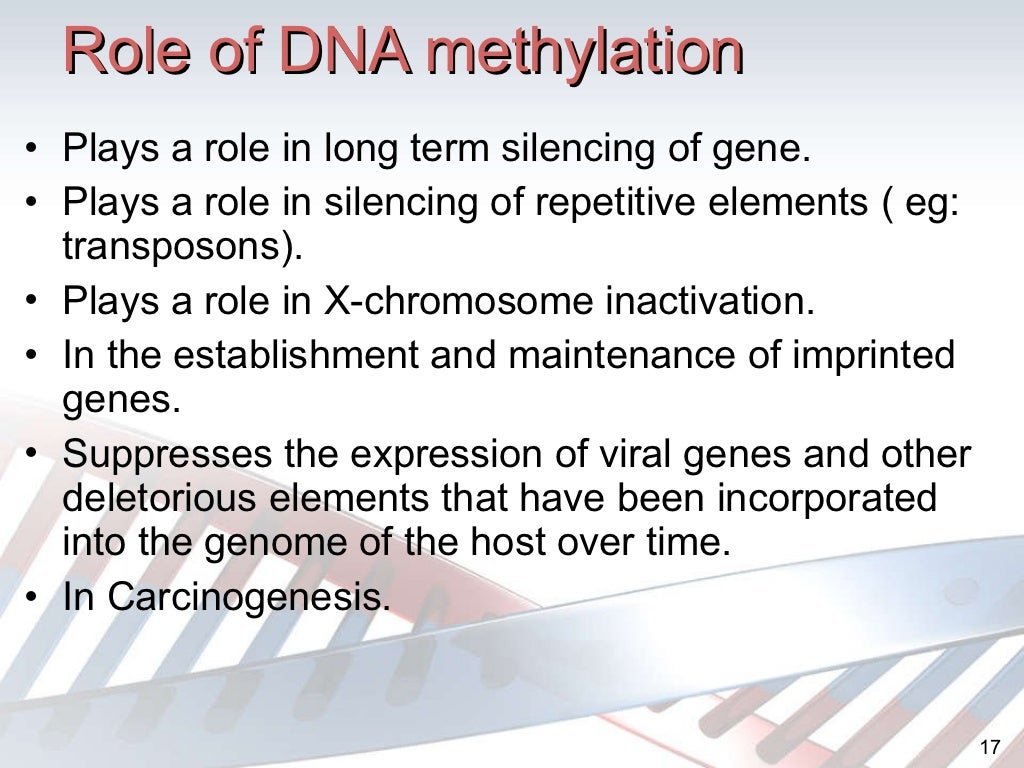 Dna methylation