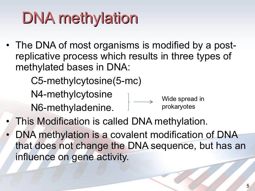 Dna methylation