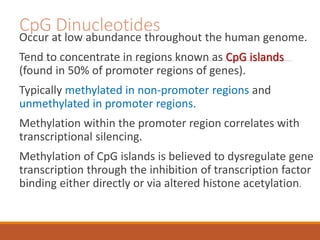CpG Dinucleotides
Occur at low abundance throughout the human genome.
Tend to concentrate in regions known as CpG islands
(found in 50% of promoter regions of genes).
Typically methylated in non-promoter regions and
unmethylated in promoter regions.
Methylation within the promoter region correlates with
transcriptional silencing.
Methylation of CpG islands is believed to dysregulate gene
transcription through the inhibition of transcription factor
binding either directly or via altered histone acetylation.
 
