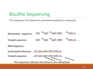 Bisulfite Sequencing
The sequence of treated and untreated templates is compared.
GTC
Methylated sequence: GTC
Me
GGC
Me
GATCTATC
Me
GTGCA …
Treated sequence:
Me
GGC
Me
GATUTATC
Me
GTGUA …
DNA Sequence:
(Untreated) reference: ...GTCGGCGATCTATCGTGCA…
Treated sequence: ...GTCGGCGATUTATCGTGUA…
This sequence indicates that these Cs are methylated.
16
 
