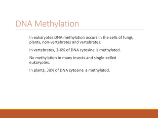 DNA Methylation
In eukaryotes DNA methylation occurs in the cells of fungi,
plants, non-vertebrates and vertebrates.
In vertebrates, 3-6% of DNA cytosine is methylated.
No methylation in many insects and single-celled
eukaryotes.
In plants, 30% of DNA cytosine is methylated.
 