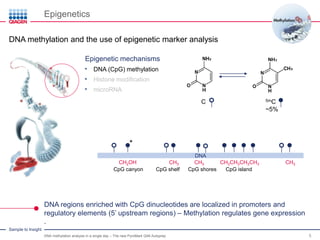 Dna Methylation Analysis in a Single Day - Download the Slides | PDF