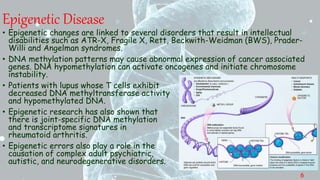 Epigenetic Disease
• Epigenetic changes are linked to several disorders that result in intellectual
disabilities such as ATR-X, Fragile X, Rett, Beckwith-Weidman (BWS), Prader-
Willi and Angelman syndromes.
• DNA methylation patterns may cause abnormal expression of cancer associated
genes. DNA hypomethylation can activate oncogenes and initiate chromosome
instability.
• Patients with lupus whose T cells exhibit
decreased DNA methyltransferase activity
and hypomethylated DNA.
• Epigenetic research has also shown that
there is joint-specific DNA methylation
and transcriptome signatures in
rheumatoid arthritis.
• Epigenetic errors also play a role in the
causation of complex adult psychiatric,
autistic, and neurodegenerative disorders.
6
 