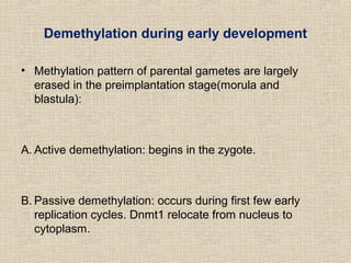 Dna methylation pattern during development | PPT