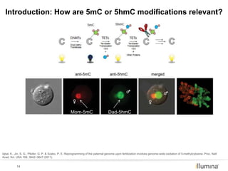 DNA methylation_ understanding the language of DNA 20130806 | PDF