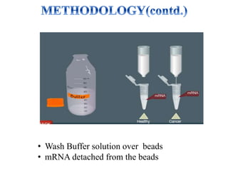 • Wash Buffer solution over beads
• mRNA detached from the beads
 