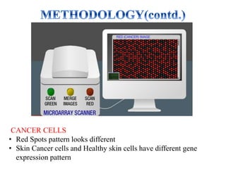 CANCER CELLS
• Red Spots pattern looks different
• Skin Cancer cells and Healthy skin cells have different gene
expression pattern
 