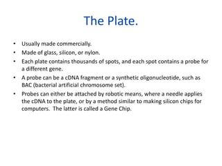The Plate.
• Usually made commercially.
• Made of glass, silicon, or nylon.
• Each plate contains thousands of spots, and each spot contains a probe for
a different gene.
• A probe can be a cDNA fragment or a synthetic oligonucleotide, such as
BAC (bacterial artificial chromosome set).
• Probes can either be attached by robotic means, where a needle applies
the cDNA to the plate, or by a method similar to making silicon chips for
computers. The latter is called a Gene Chip.
 