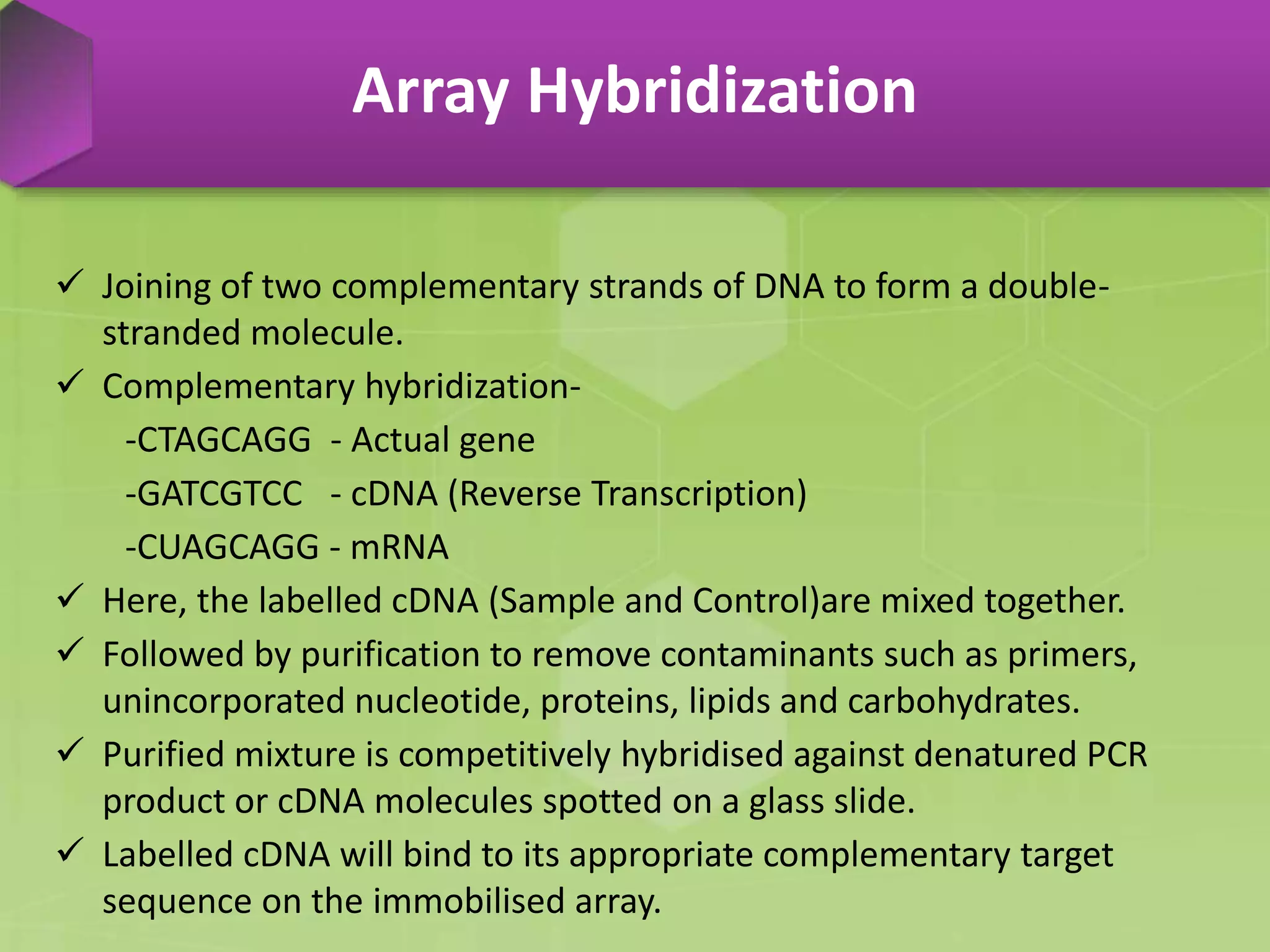 Dna microarray | PPTX