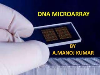 DNA MICROARRAY
BY
A.MANOJ KUMAR
 