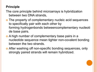 DNA CHIPS AND MICROARRAY.pptx