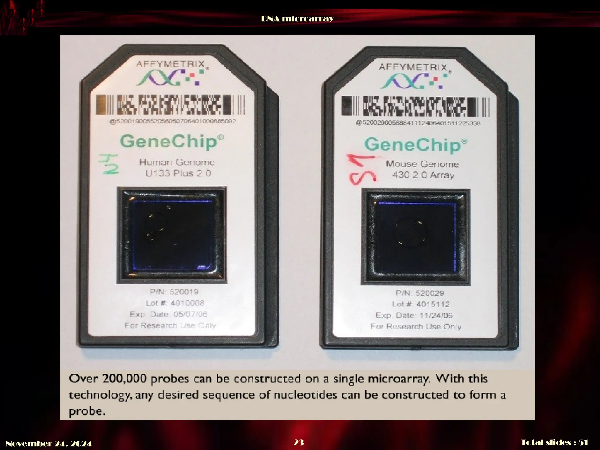 DNA microarray
Total slides : 51
23
November 24, 2024
 