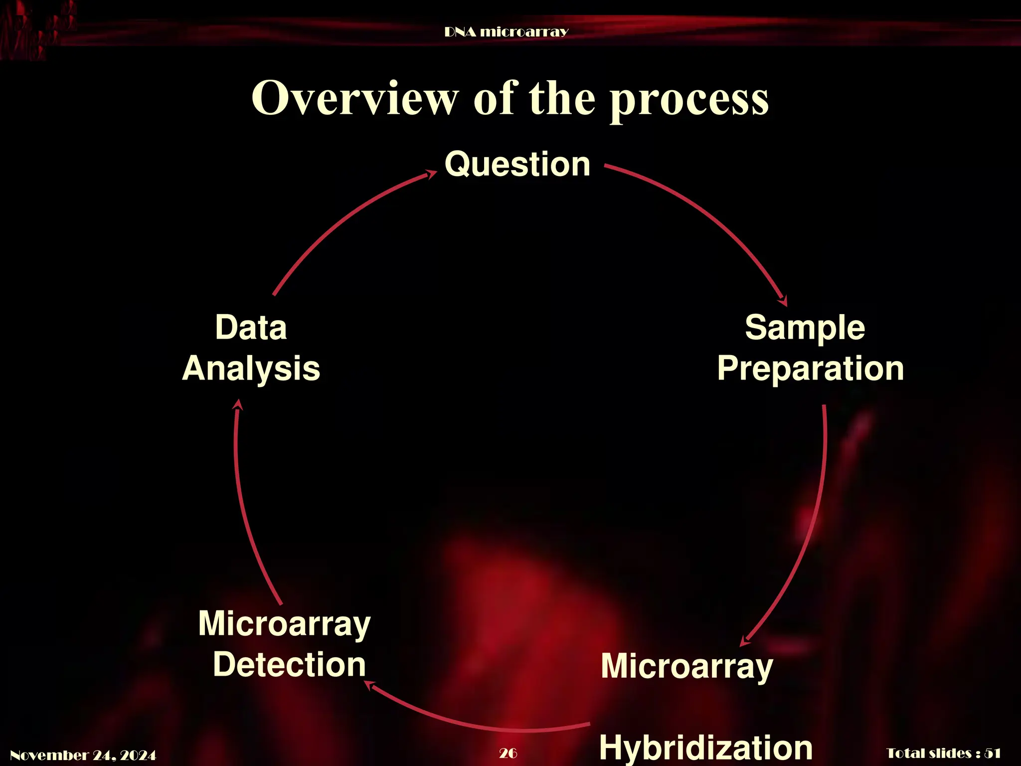 DNA microarray
Total slides : 51
26
November 24, 2024
Overview of the process
Question
Sample
Preparation
Data
Analysis
Microarray
Hybridization
Microarray
Detection
 