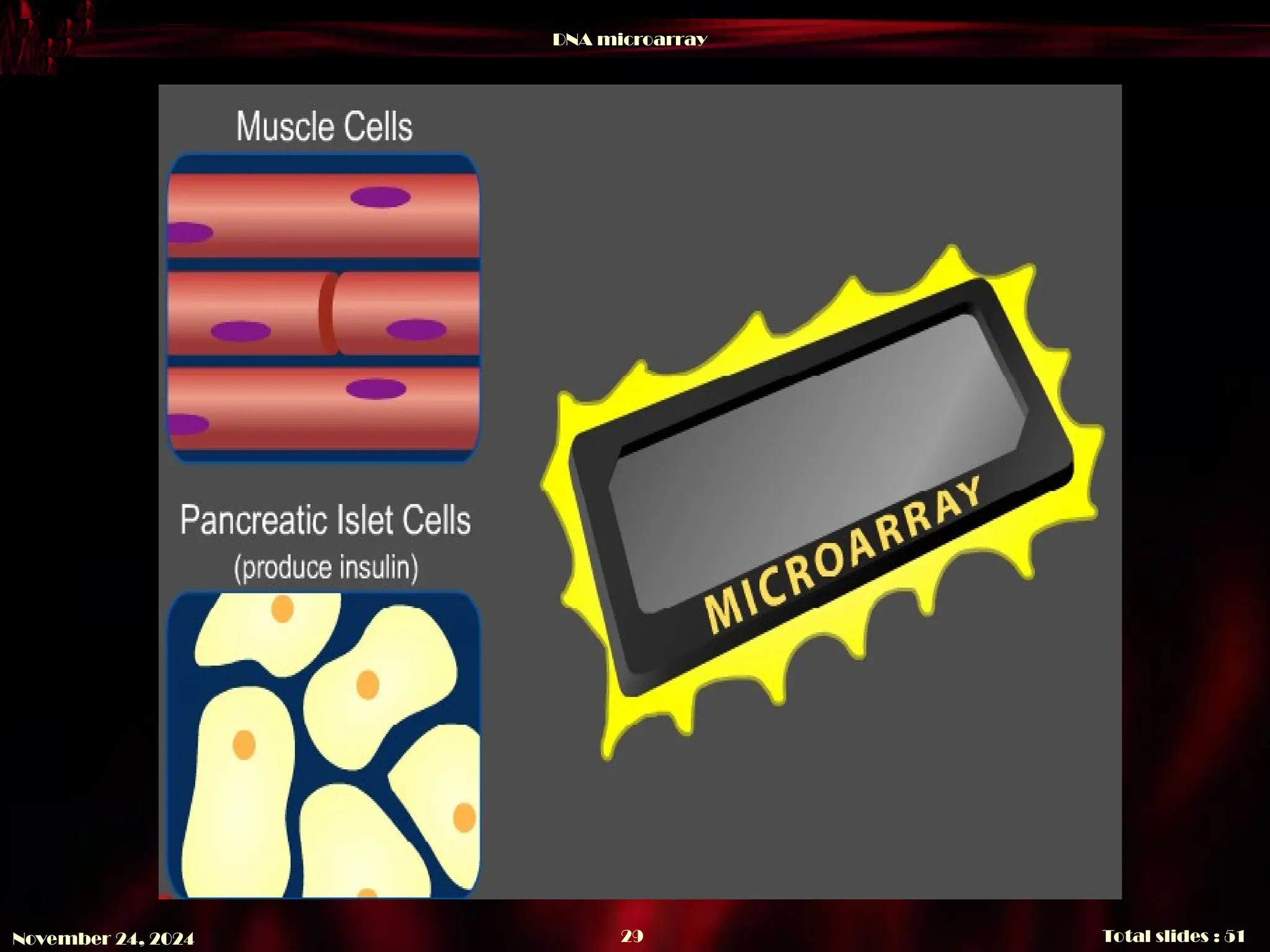 DNA microarray
Total slides : 51
29
November 24, 2024
 