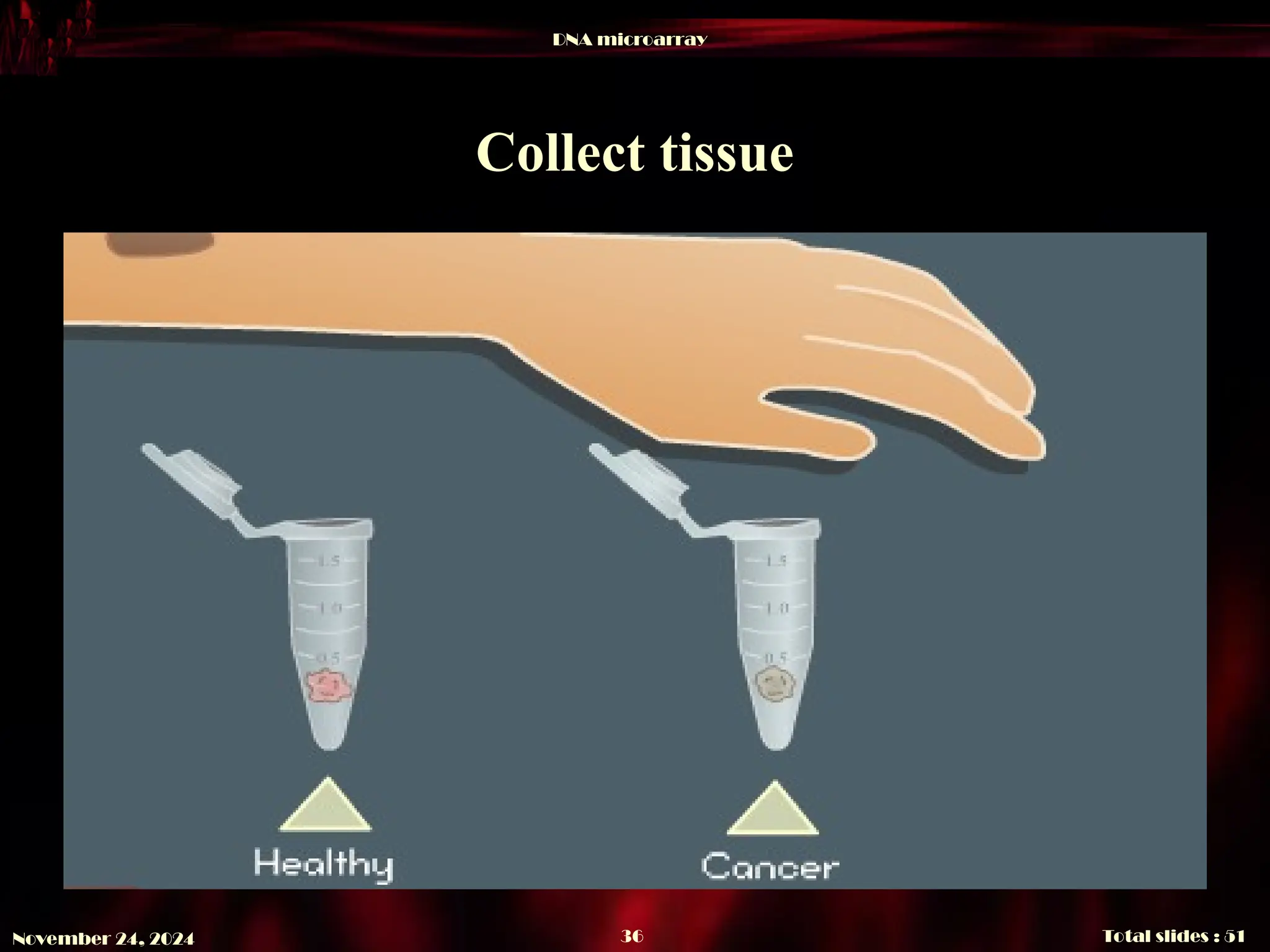 DNA microarray
Total slides : 51
36
November 24, 2024
Collect tissue
 