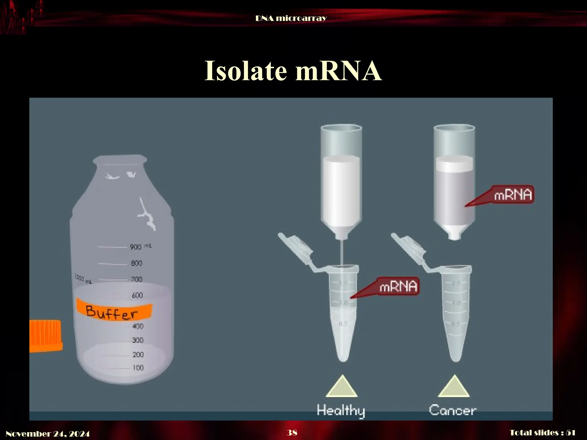 DNA microarray
Total slides : 51
38
November 24, 2024
Isolate mRNA
 