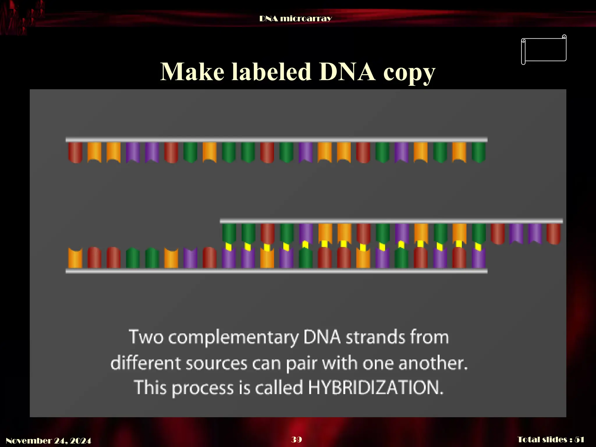 DNA microarray
Total slides : 51
39
November 24, 2024
Make labeled DNA copy
 