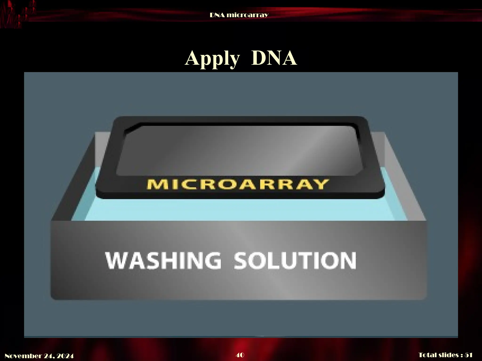 DNA microarray
Total slides : 51
40
November 24, 2024
Apply DNA
 