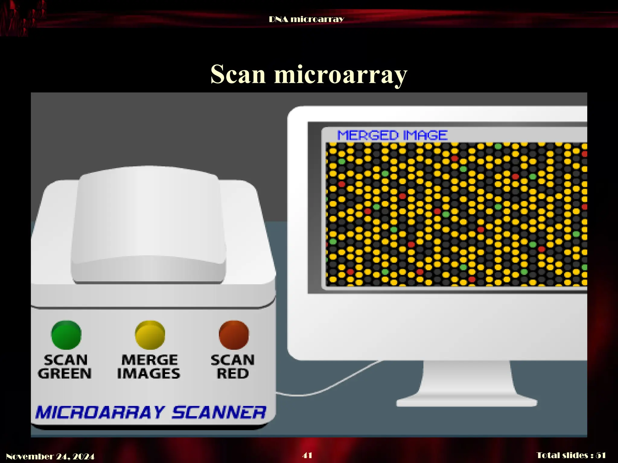 DNA microarray
Total slides : 51
41
November 24, 2024
Scan microarray
 