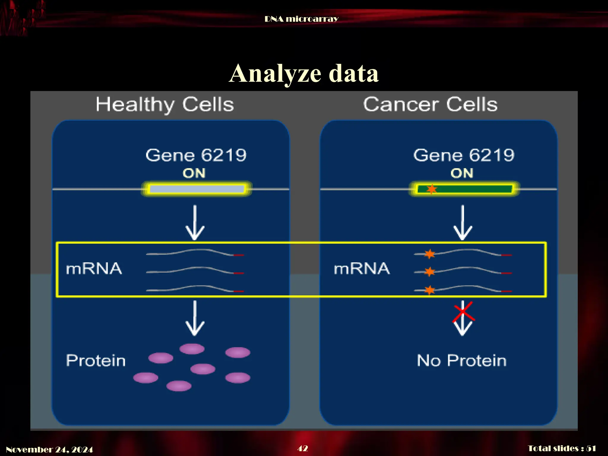 DNA microarray
Total slides : 51
42
November 24, 2024
Analyze data
 
