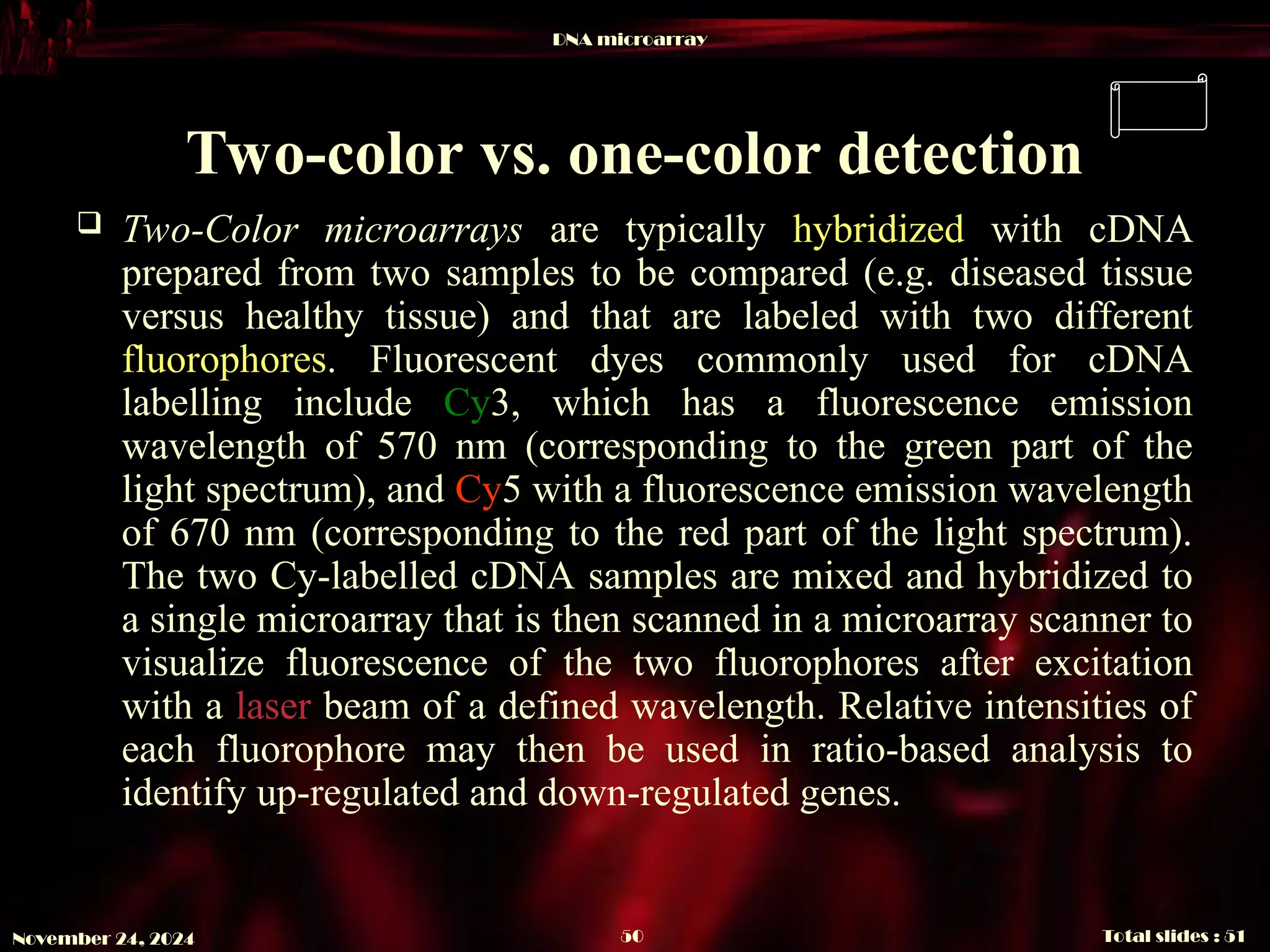 DNA microarray
Total slides : 51
50
November 24, 2024
Two-color vs. one-color detection
 Two-Color microarrays are typically hybridized with cDNA
prepared from two samples to be compared (e.g. diseased tissue
versus healthy tissue) and that are labeled with two different
fluorophores. Fluorescent dyes commonly used for cDNA
labelling include Cy3, which has a fluorescence emission
wavelength of 570 nm (corresponding to the green part of the
light spectrum), and Cy5 with a fluorescence emission wavelength
of 670 nm (corresponding to the red part of the light spectrum).
The two Cy-labelled cDNA samples are mixed and hybridized to
a single microarray that is then scanned in a microarray scanner to
visualize fluorescence of the two fluorophores after excitation
with a laser beam of a defined wavelength. Relative intensities of
each fluorophore may then be used in ratio-based analysis to
identify up-regulated and down-regulated genes.
 