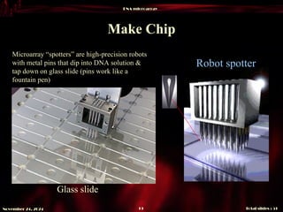 DNA microarray
Total slides : 51
19
November 24, 2024
Make Chip
Glass slide
Robot spotter
Microarray “spotters” are high-precision robots
with metal pins that dip into DNA solution &
tap down on glass slide (pins work like a
fountain pen)
 