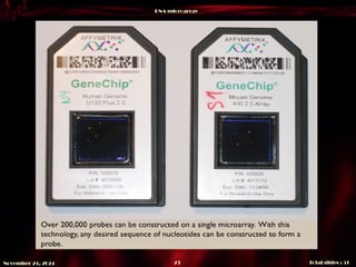 DNA microarray
Total slides : 51
23
November 24, 2024
 