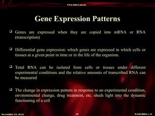 DNA microarray
Total slides : 51
27
November 24, 2024
Gene Expression Patterns
 Genes are expressed when they are copied into mRNA or RNA
(transcription)
 Differential gene expression: which genes are expressed in which cells or
tissues at a given point in time or in the life of the organism.
 Total RNA can be isolated from cells or tissues under different
experimental conditions and the relative amounts of transcribed RNA can
be measured
 The change in expression pattern in response to an experimental condition,
environmental change, drug treatment, etc. sheds light into the dynamic
functioning of a cell
 
