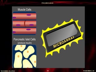 DNA microarray
Total slides : 51
29
November 24, 2024
 