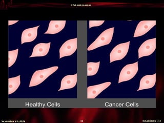 DNA microarray
Total slides : 51
32
November 24, 2024
 