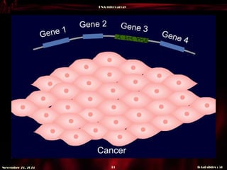 DNA microarray
Total slides : 51
33
November 24, 2024
 