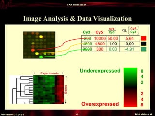 DNA microarray
Total slides : 51
45
November 24, 2024
Image Analysis & Data
Data Visualization
200 10000 50.00 5.64
4800 4800 1.00 0.00
9000 300 0.03 -4.91
Cy3 Cy5
Cy5
Cy3
Cy5
Cy3
log2
Genes
Experiments
8
4
2
fold
2
4
8
Underexpressed
Overexpressed
 