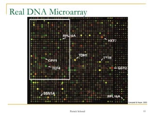DNA Microarray Also known as DNA Chip.ppt