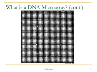 DNA Microarray Also known as DNA Chip.ppt