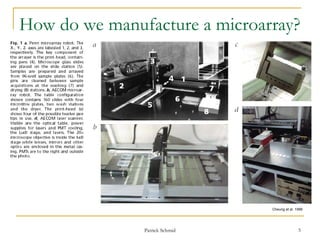 DNA Microarray Also known as DNA Chip.ppt