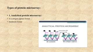 Proein Array Graph DNA Microarray.pptx, Protein Microarray.pptx