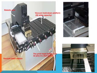 ARRAYING ROBOT
Vaccum wash station
The print head holds up to
32 pins in a 8x4 format
Vaccum hold-down platform
(50 slide capacity)
Robotic arm
 