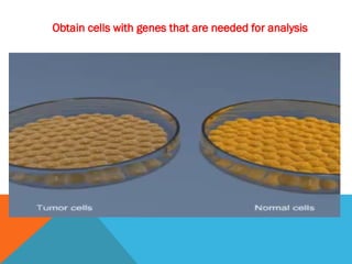 Obtain cells with genes that are needed for analysis
 