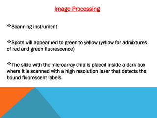 Image Processing
Scanning instrument
Spots will appear red to green to yellow (yellow for admixtures
of red and green fluorescence)
The slide with the microarray chip is placed inside a dark box
where it is scanned with a high resolution laser that detects the
bound fluorescent labels.
 