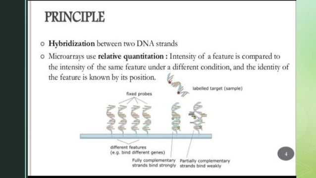 DNA Microarray technique in pathology .pptx