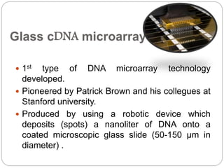 Dna microarray and its role in plant pathology | PPTX