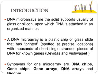 Dna microarray and its role in plant pathology | PPTX