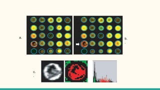 DNA microarray Technique | PPTX