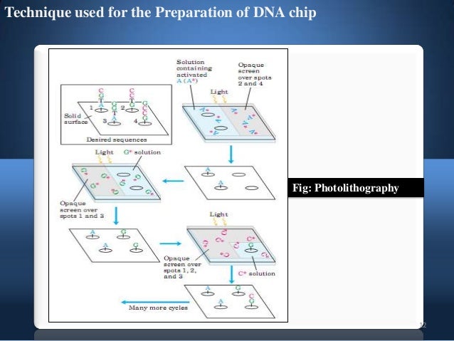 dna microarray dna chips