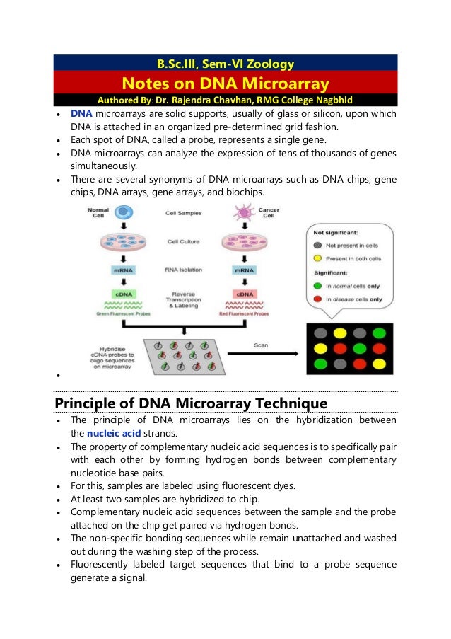 B.Sc.III, Sem-VI Zoology
Notes on DNA Microarray
Authored By: Dr. Rajendra Chavhan, RMG College Nagbhid
 DNA microarrays are solid supports, usually of glass or silicon, upon which
DNA is attached in an organized pre-determined grid fashion.
 Each spot of DNA, called a probe, represents a single gene.
 DNA microarrays can analyze the expression of tens of thousands of genes
simultaneously.
 There are several synonyms of DNA microarrays such as DNA chips, gene
chips, DNA arrays, gene arrays, and biochips.

Principle of DNA Microarray Technique
 The principle of DNA microarrays lies on the hybridization between
the nucleic acid strands.
 The property of complementary nucleic acid sequences is to specifically pair
with each other by forming hydrogen bonds between complementary
nucleotide base pairs.
 For this, samples are labeled using fluorescent dyes.
 At least two samples are hybridized to chip.
 Complementary nucleic acid sequences between the sample and the probe
attached on the chip get paired via hydrogen bonds.
 The non-specific bonding sequences while remain unattached and washed
out during the washing step of the process.
 Fluorescently labeled target sequences that bind to a probe sequence
generate a signal.
 