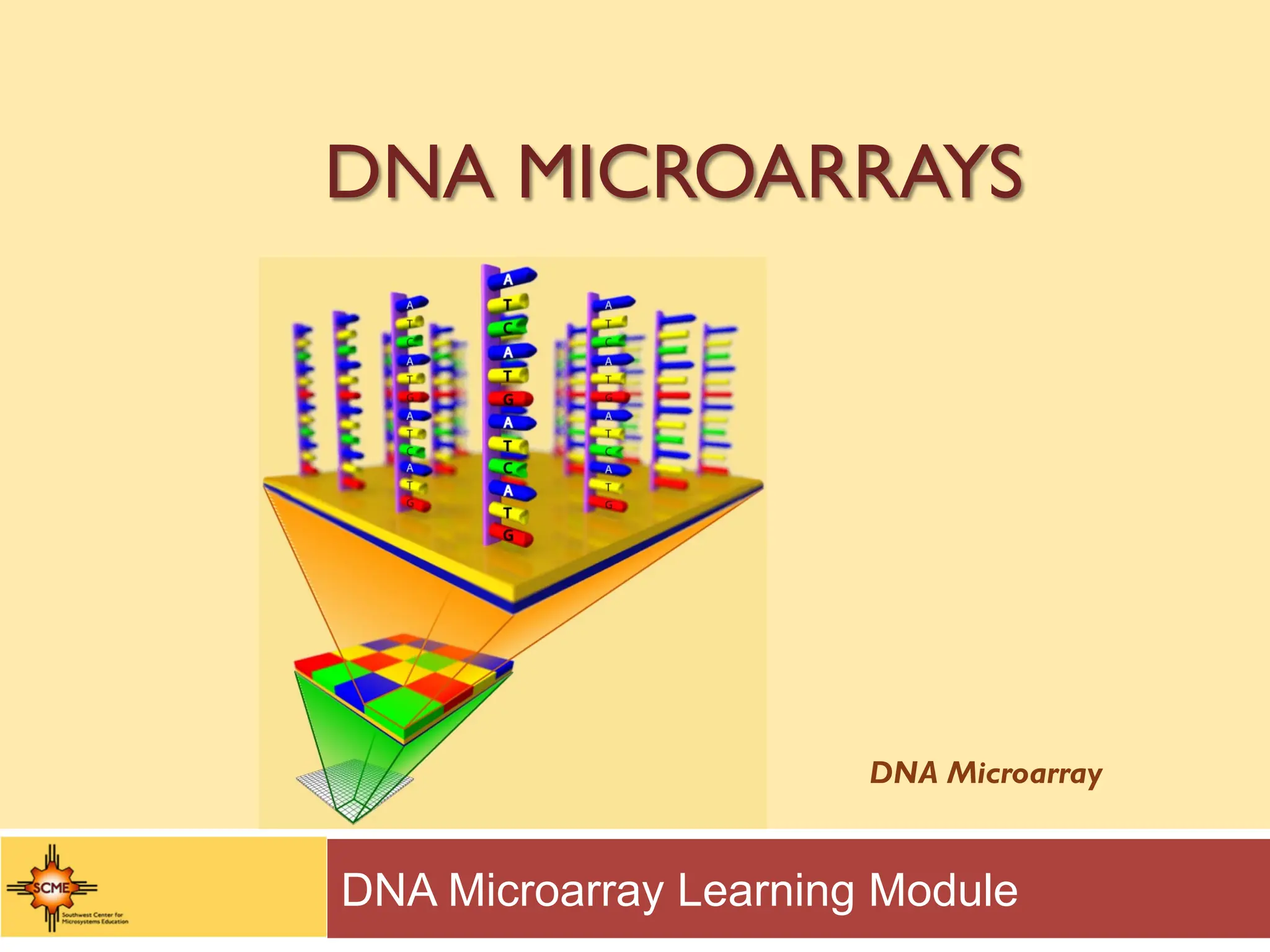 DNA MICROARRAYS
DNA Microarray Learning Module
DNA Microarray
 
